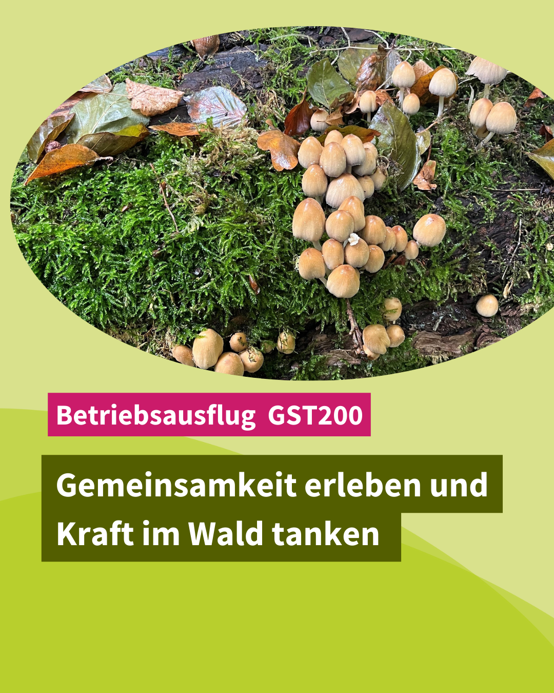 Betriebsausflug 2024: Gemeinsamkeit erleben und Kraft im Wald tanken